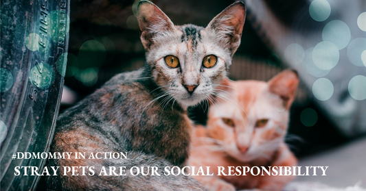 Protecting Stray Cats and Dogs Worldwide: Current Status, Challenges, and Solutions