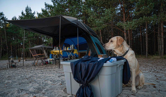 A dog beside a storage bin at a campsite