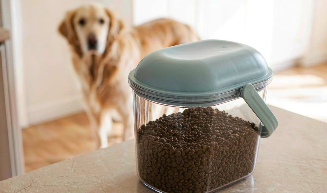 A clear-lid pet food container on a kitchen counter