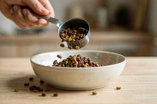 A stainless steel scoop portioning dry dog food into a bowl