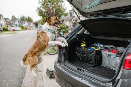 A dog jumping into a car trunk with stacked storage bins