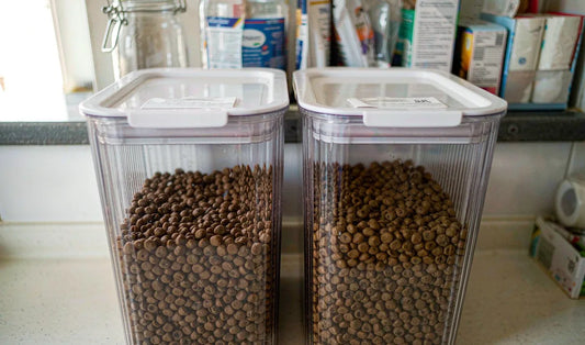 Dog Food Container Lid Won't Close? Fix It or Stop Losing Freshness