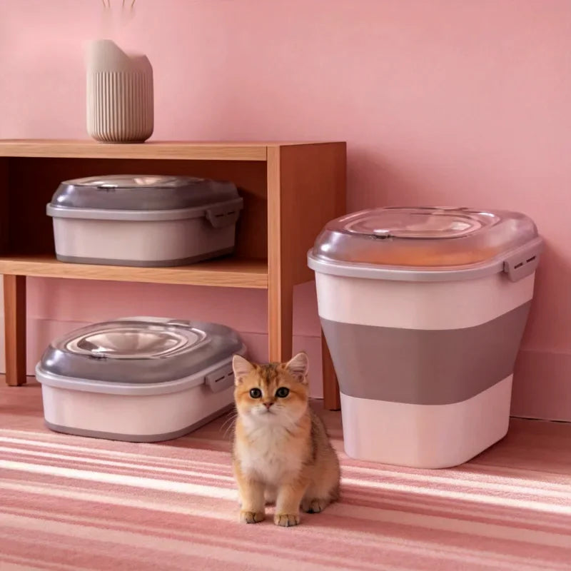 A kitten beside storage bins on a pantry shelf