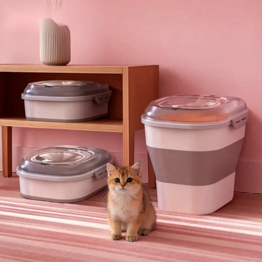 A kitten beside storage bins on a pantry shelf